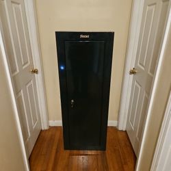 Sentinel Gun Safe