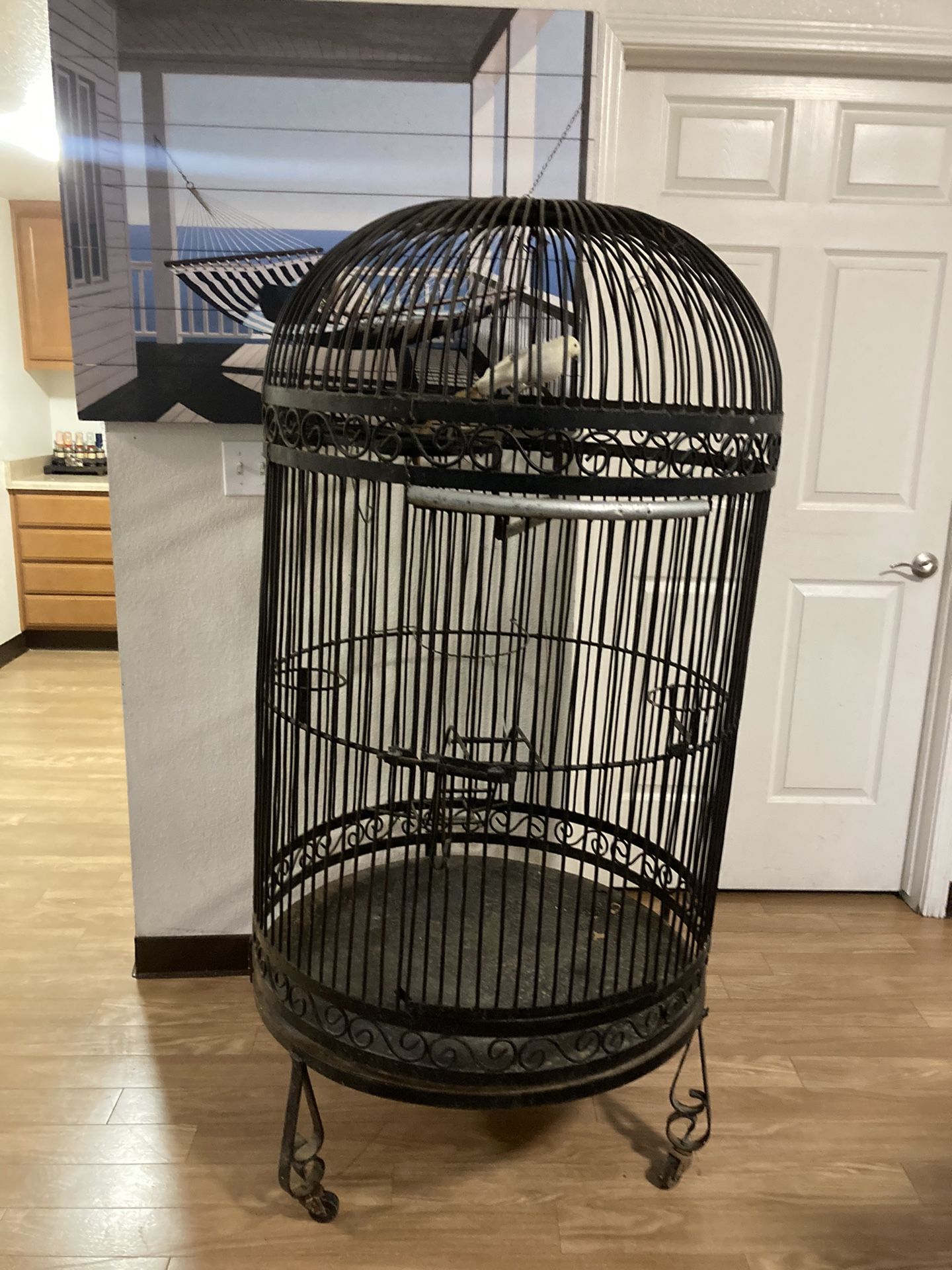 Vintage Bird Cage 5 1/2 Ft Tall