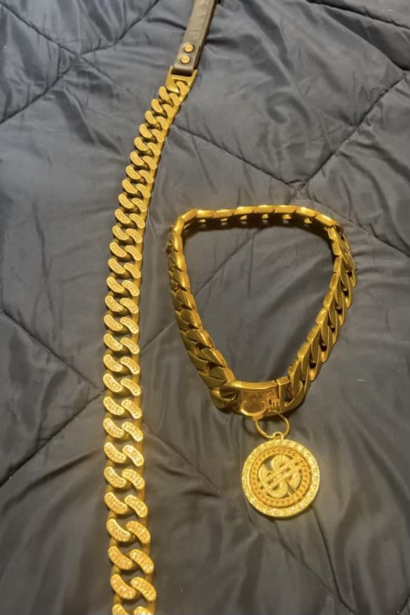 Gold Dog Leash And Collar With $ Spinner