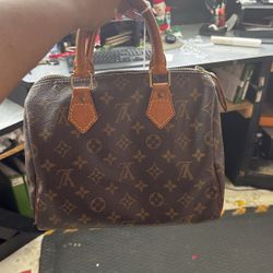 Louis Vuitton Speedy