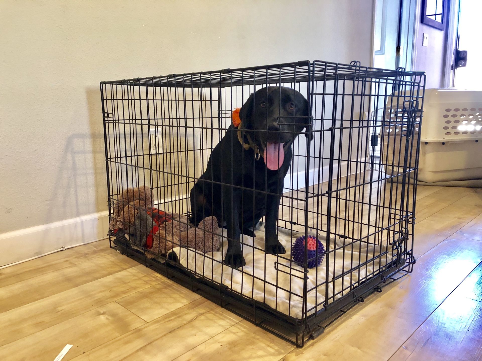Dog Crate medium/large