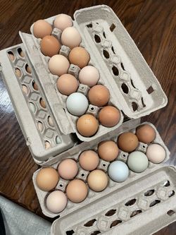 Fresh Eggs
