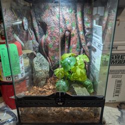 Exo Terra Terrarium 