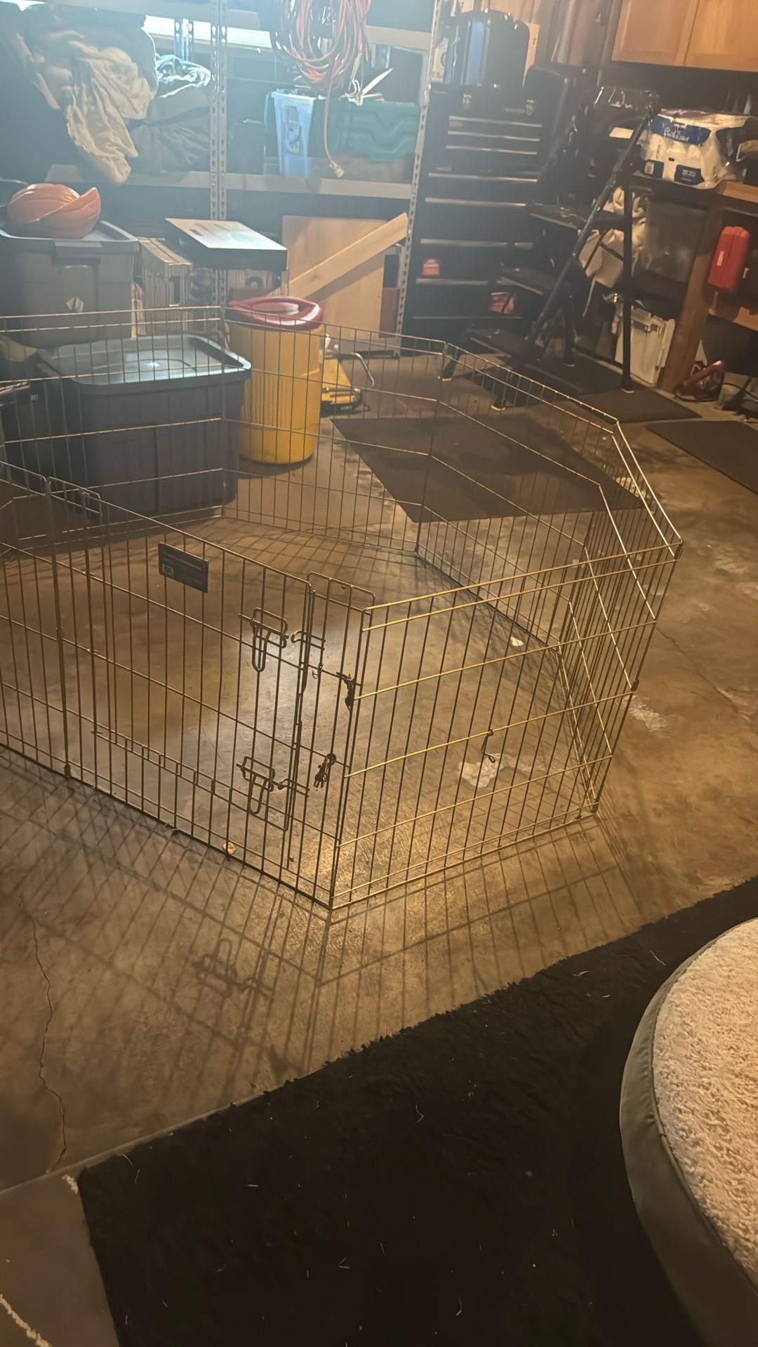 New Exercise Gold Zine Exercise pen