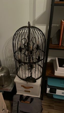 Bird cage light fixture