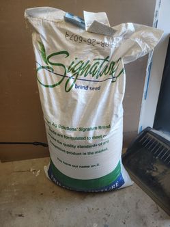 Lawn Winter Rye Grass Seed