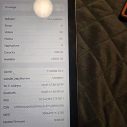 2016 Ipad Pro 256 Gig