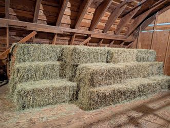 Eastern  Grass Hay
