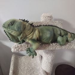 Lizard Stuffed Toy