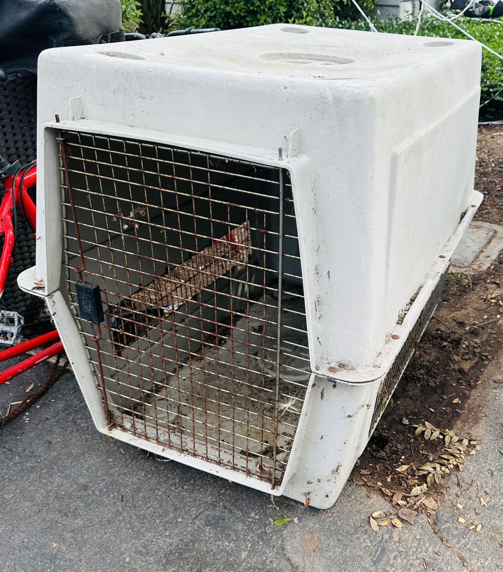 Free XL Dog Kennel