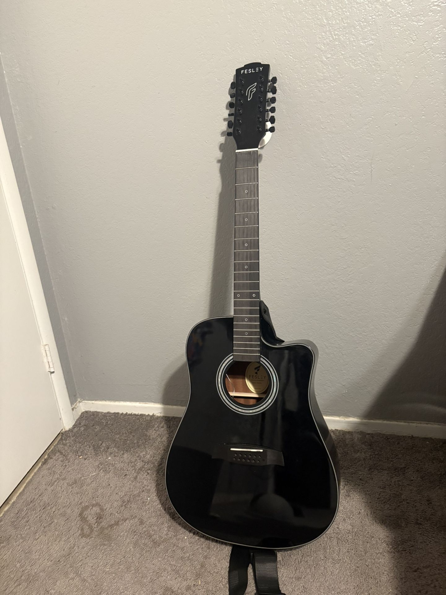 Acoustic 12-string Guitar