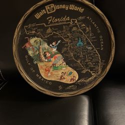 Vintage Walt Disney World Florida Tin Tray souvenir Disneyanna 11" round tin
