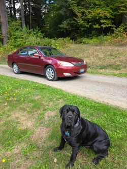 2004 Toyota Camry