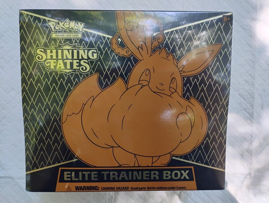 Shining Fates ETB