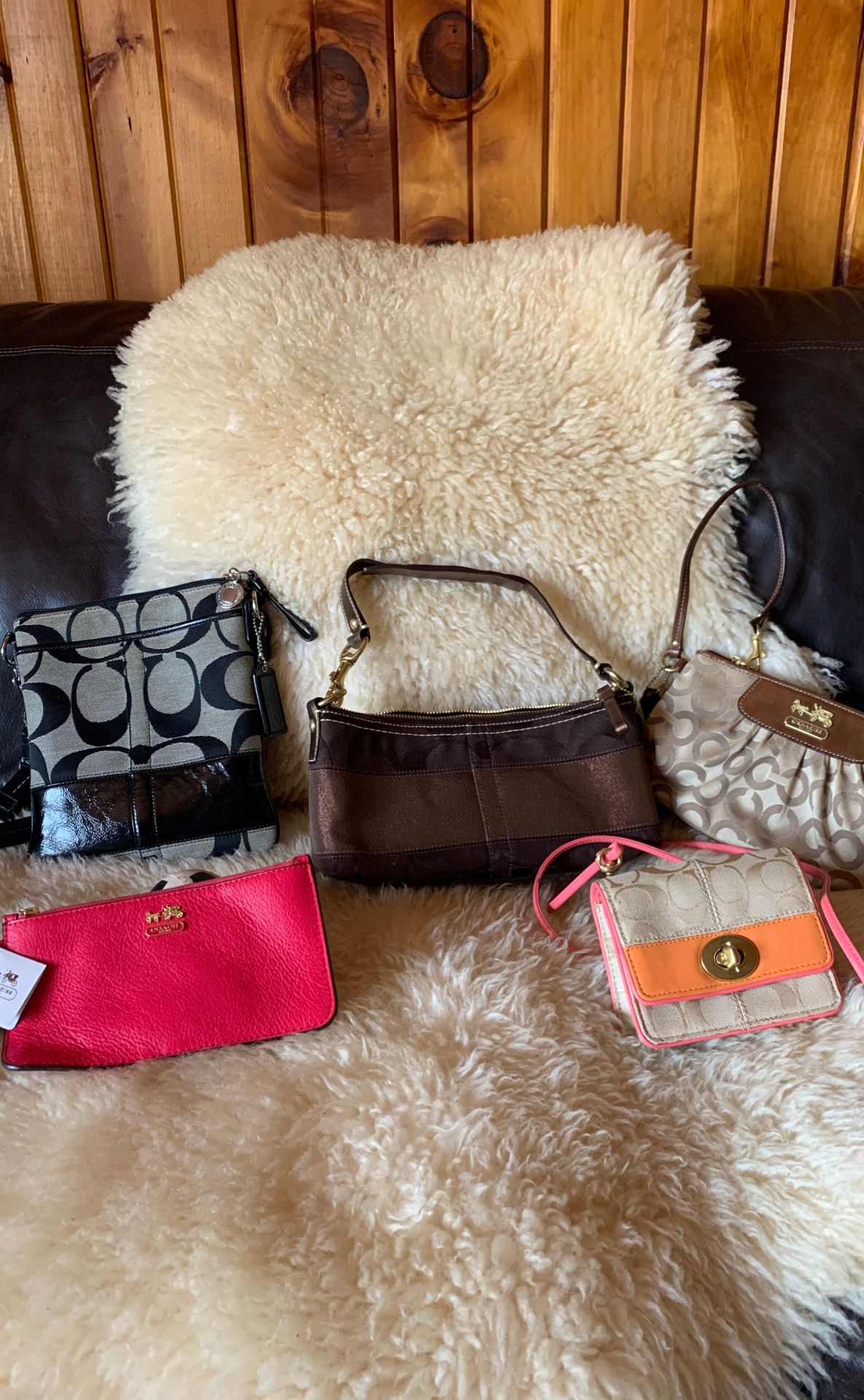 Coach purses