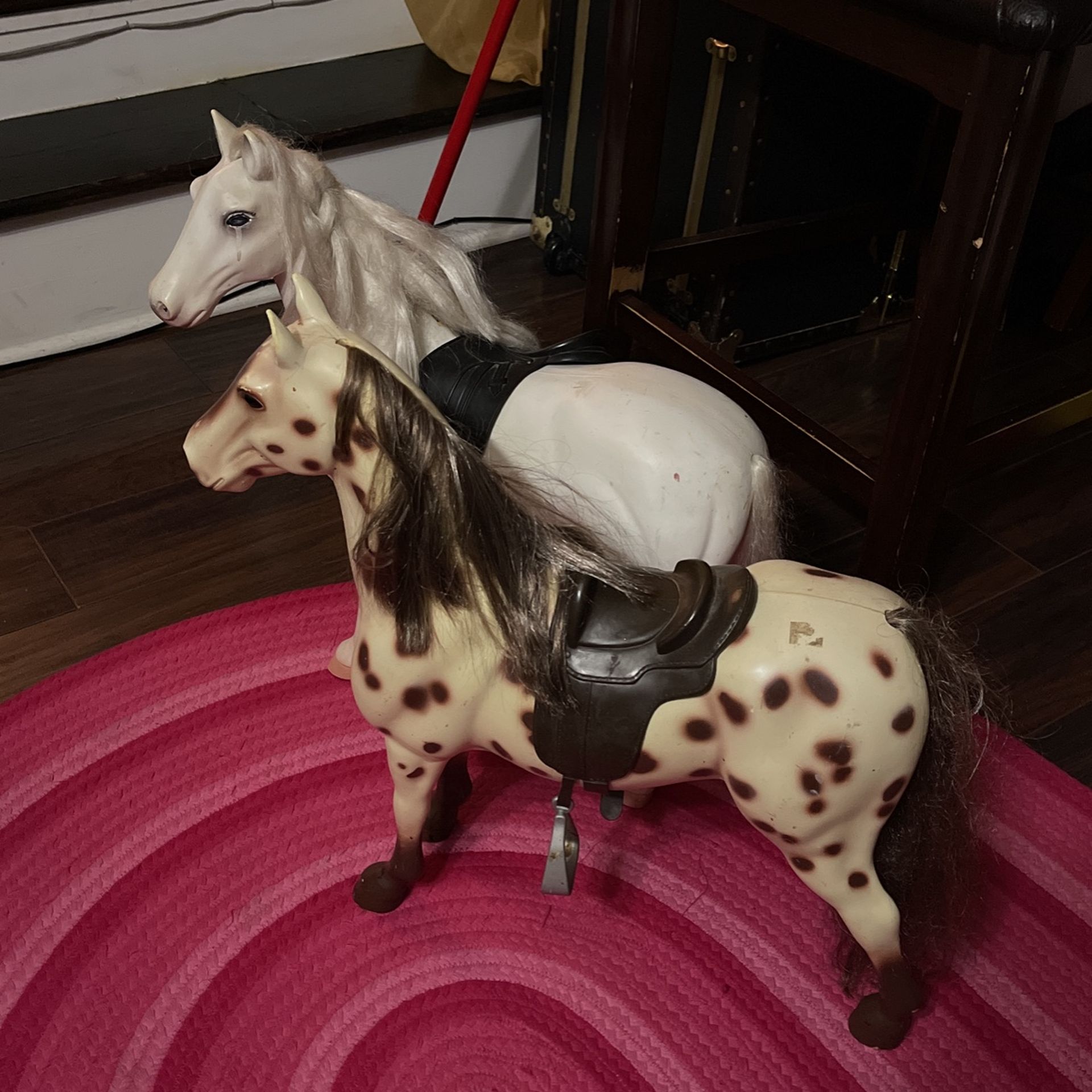 Caballos