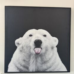Polar bear Frame. 