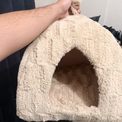 Small Dog House 