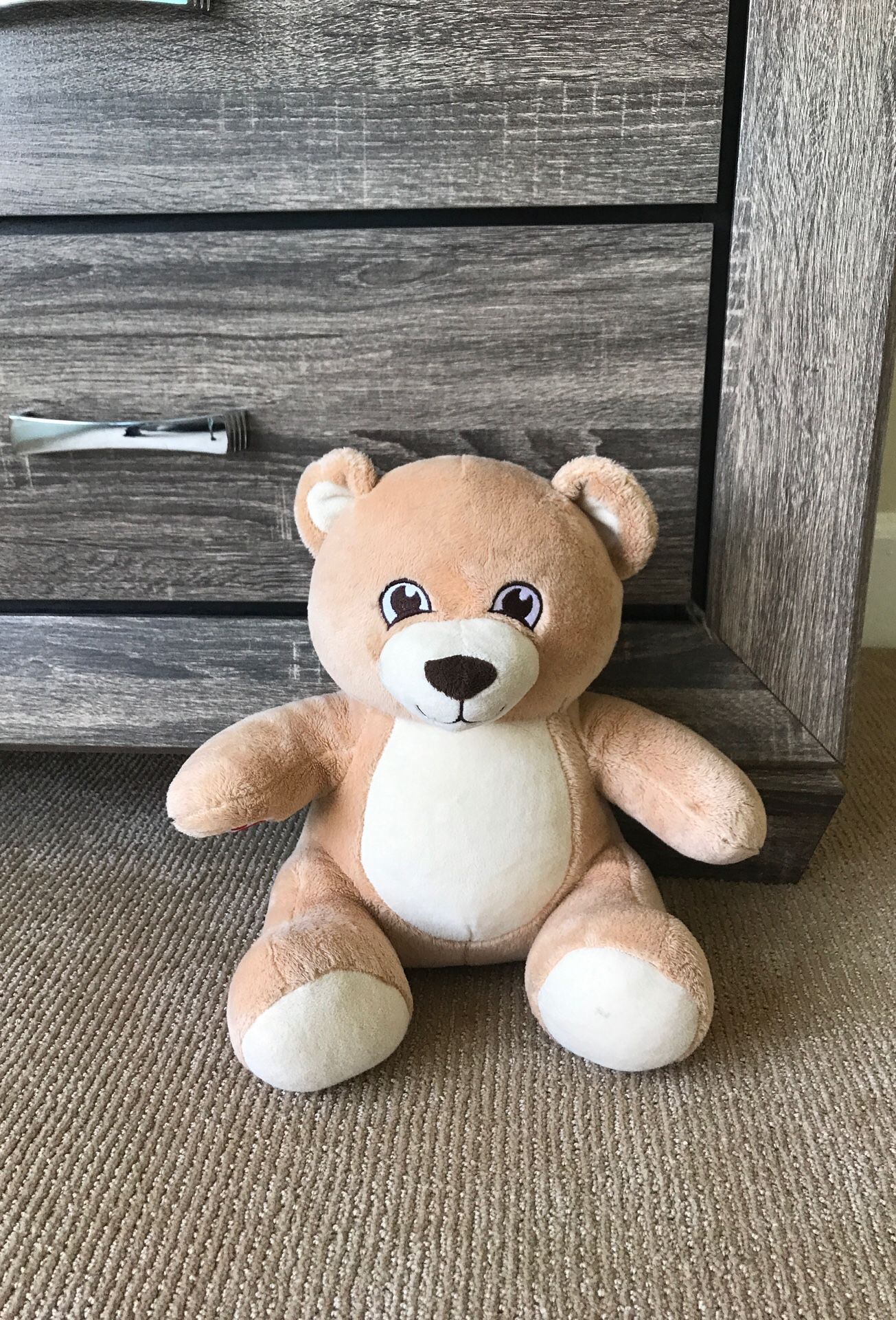 Teddy bear - new