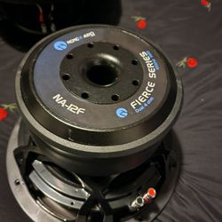 12" Subwoofer