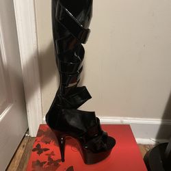 Pleaser Heels 