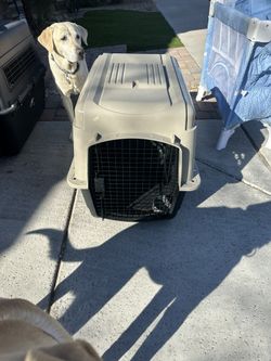 Pet Carrier