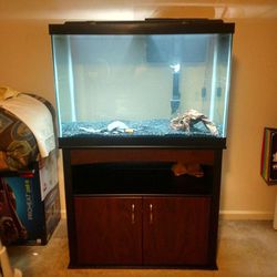 Aqueon 65 Gallon Aquarium Fish Tank