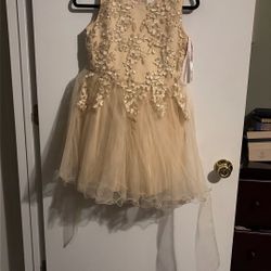 Dressy Girls Dress Beige