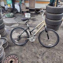 Women's Trek 300 