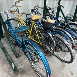 Bunch Of Vintage  Schwinn Bikes 