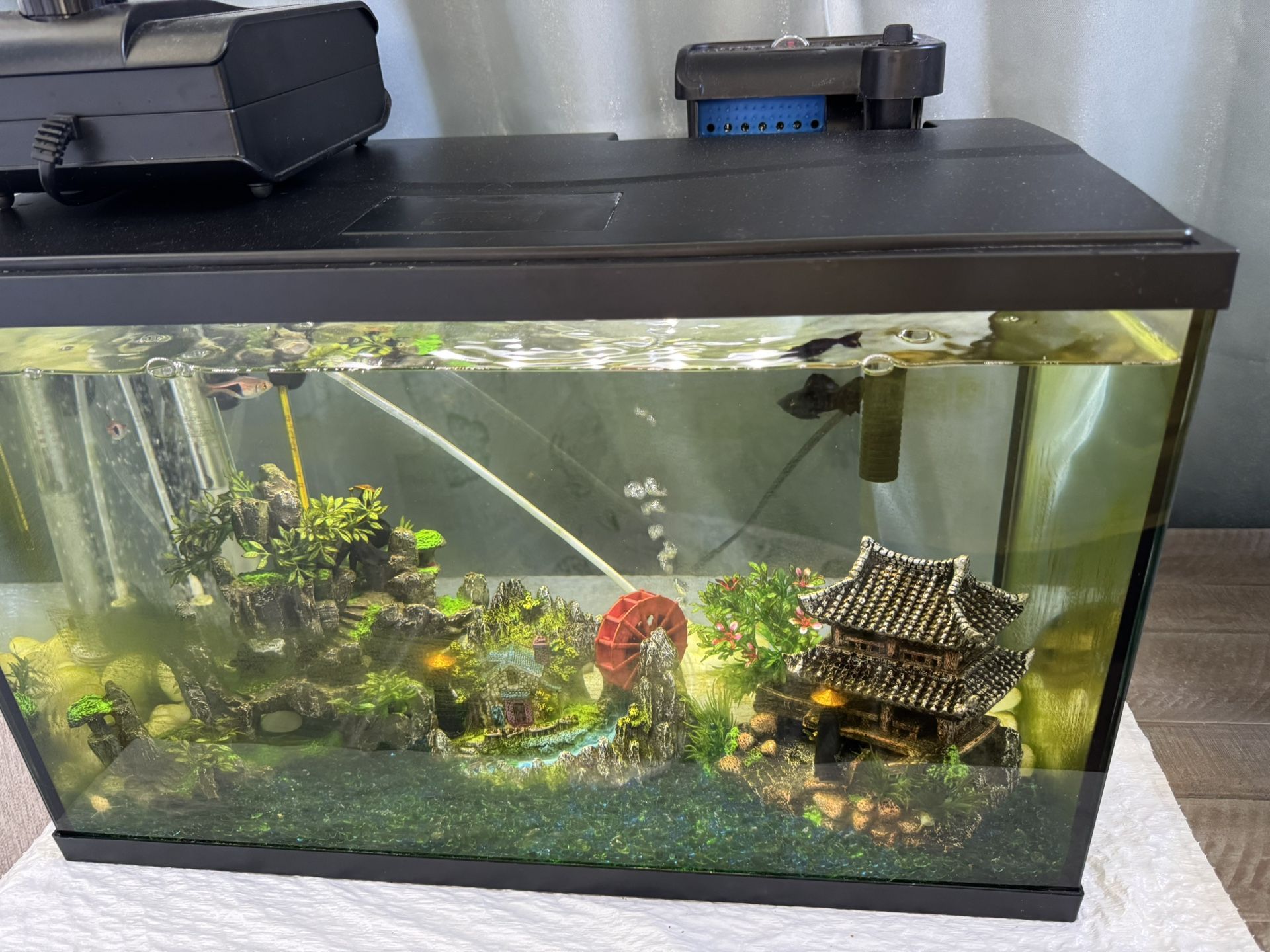 Fish Tank Aquarium 10 gallon