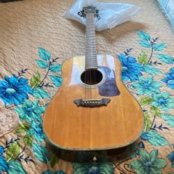 Washburn Acoustic guitar