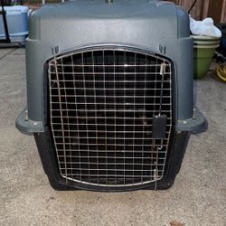 Dog Kennel