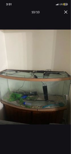 75 gal Bow Front tank