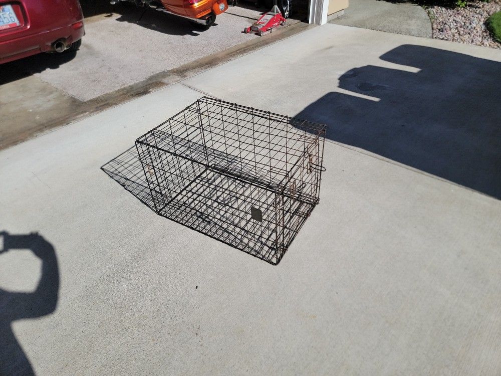 Dog Kennel