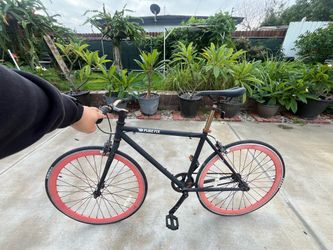 Pure Fix Echo Bike
