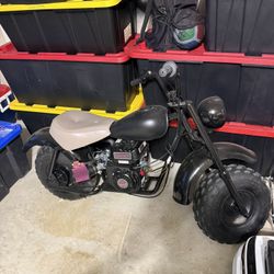 Mini Bike 