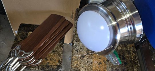 Ceiling light and fan