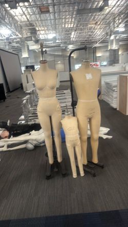 tailor manikin