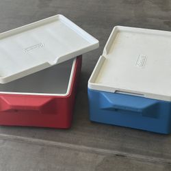 Two Snack Coolers 