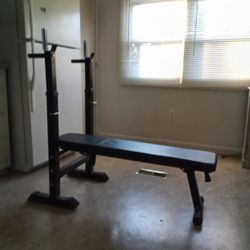 Foldable Adjustable Weight Bench 