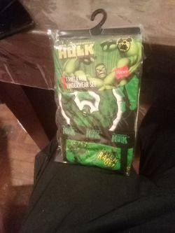Hulk T-shirt And Brief Underwear Set Size XL (10)