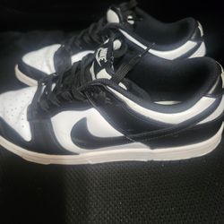 Adult Nike Size 10