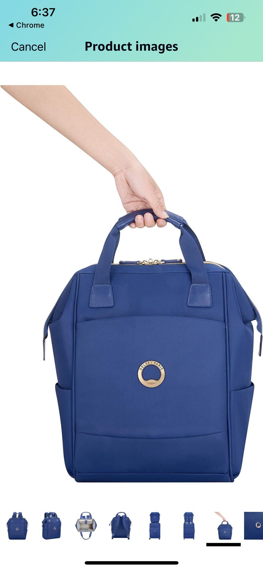 Delsey Montrouge Backpack