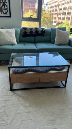 West Elm coffee table