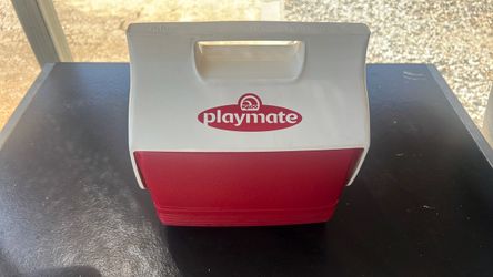 Igloo Playmate