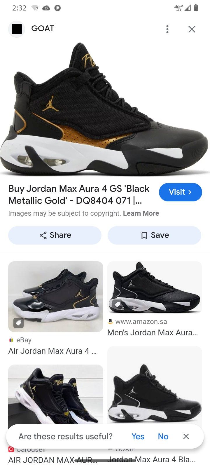 Jordan Max 