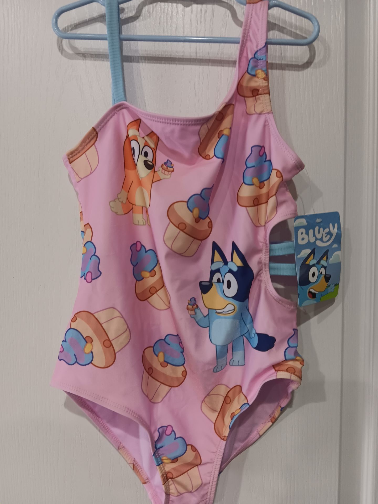 Bluey Swimsuit
