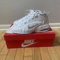 Nike Air Max "Penny " Metallics 