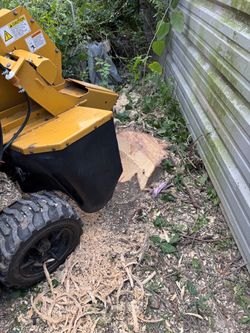 Stump grinder